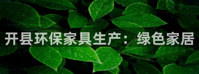 杏耀代理注册中心：开县环保家具生产：绿色家居