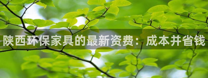 杏耀管网登录：陕西环保家具的最新资费：成本并省钱